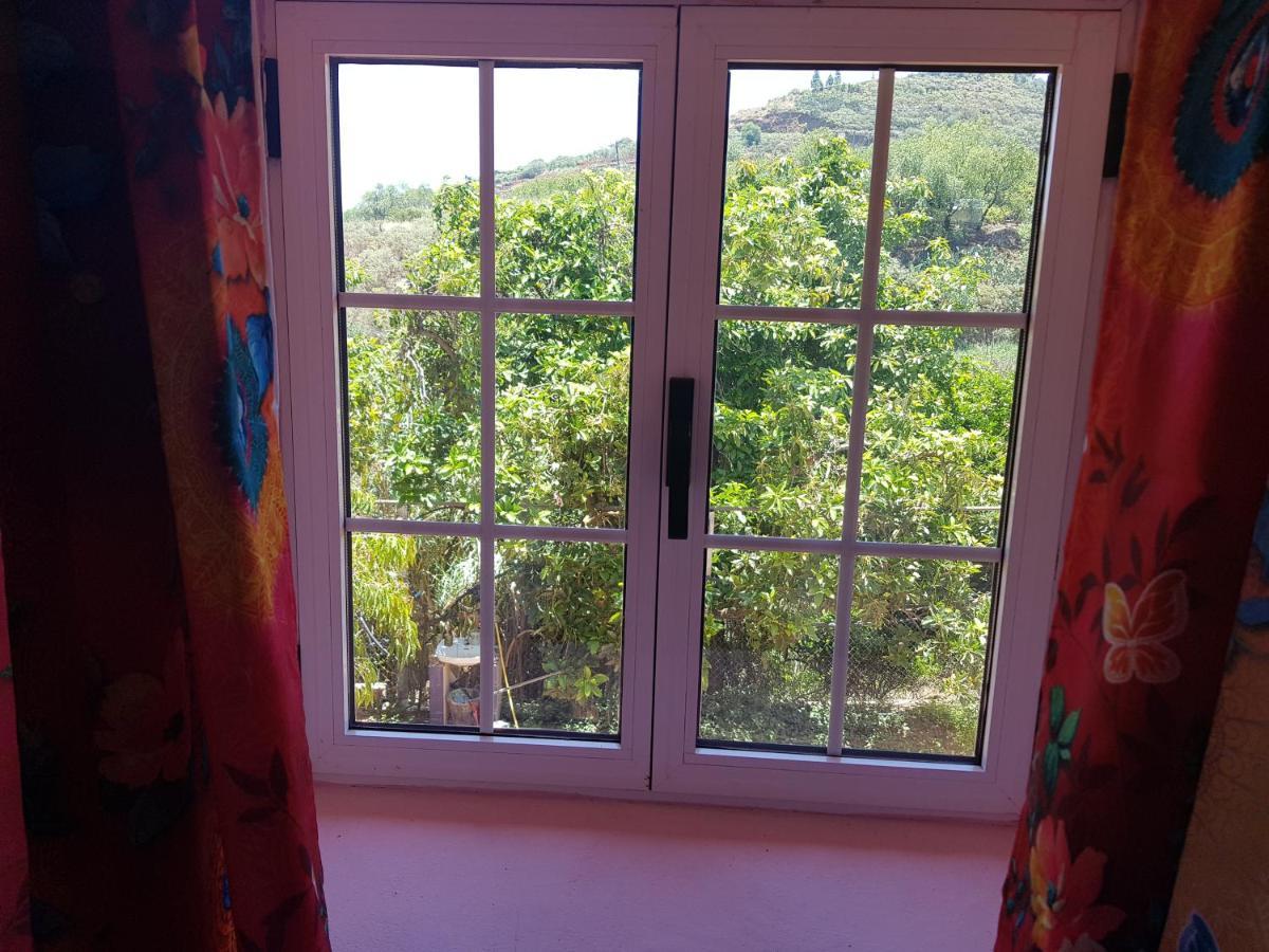 Finca Rural Torres Casas 1 Y 4 Bed & Breakfast Веґа-де-Сан-Матео Екстер'єр фото
