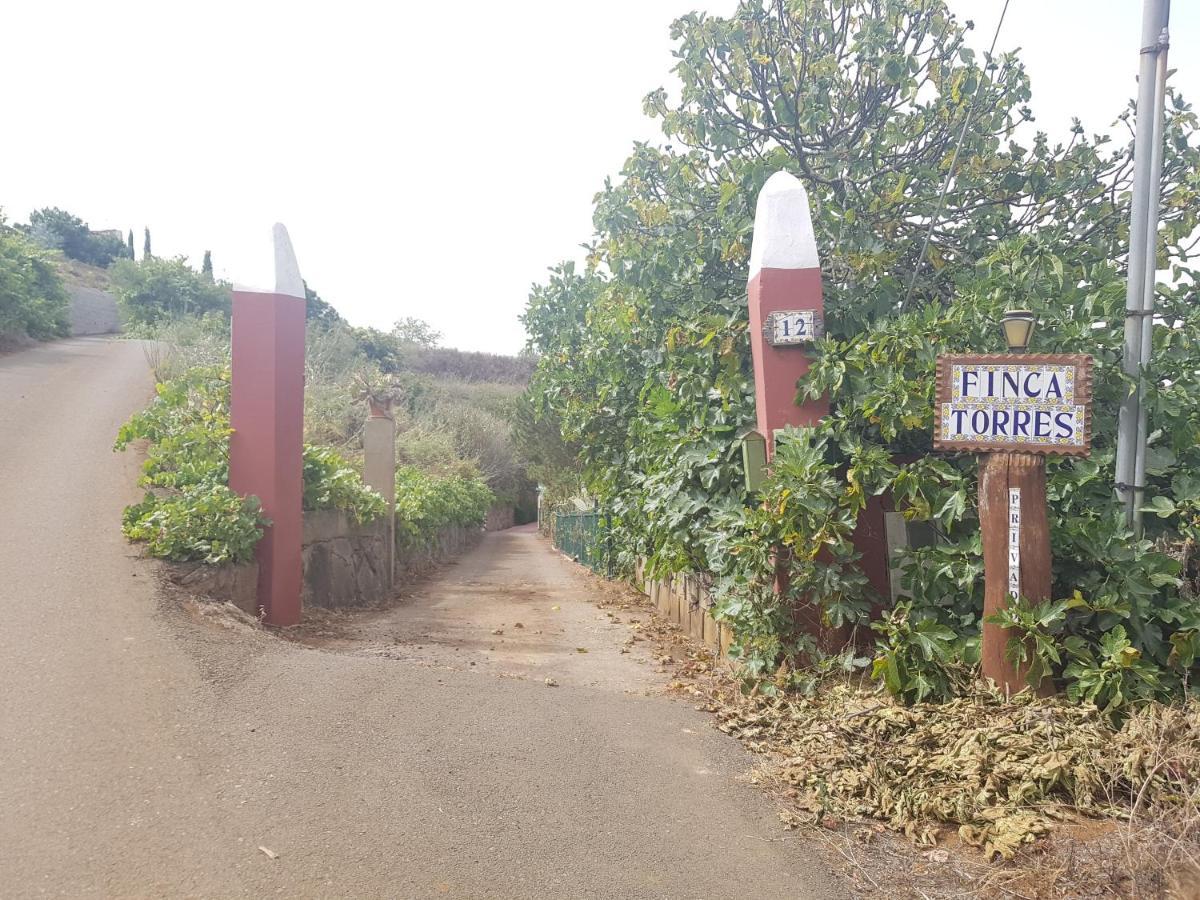 Finca Rural Torres Casas 1 Y 4 Bed & Breakfast Веґа-де-Сан-Матео Екстер'єр фото