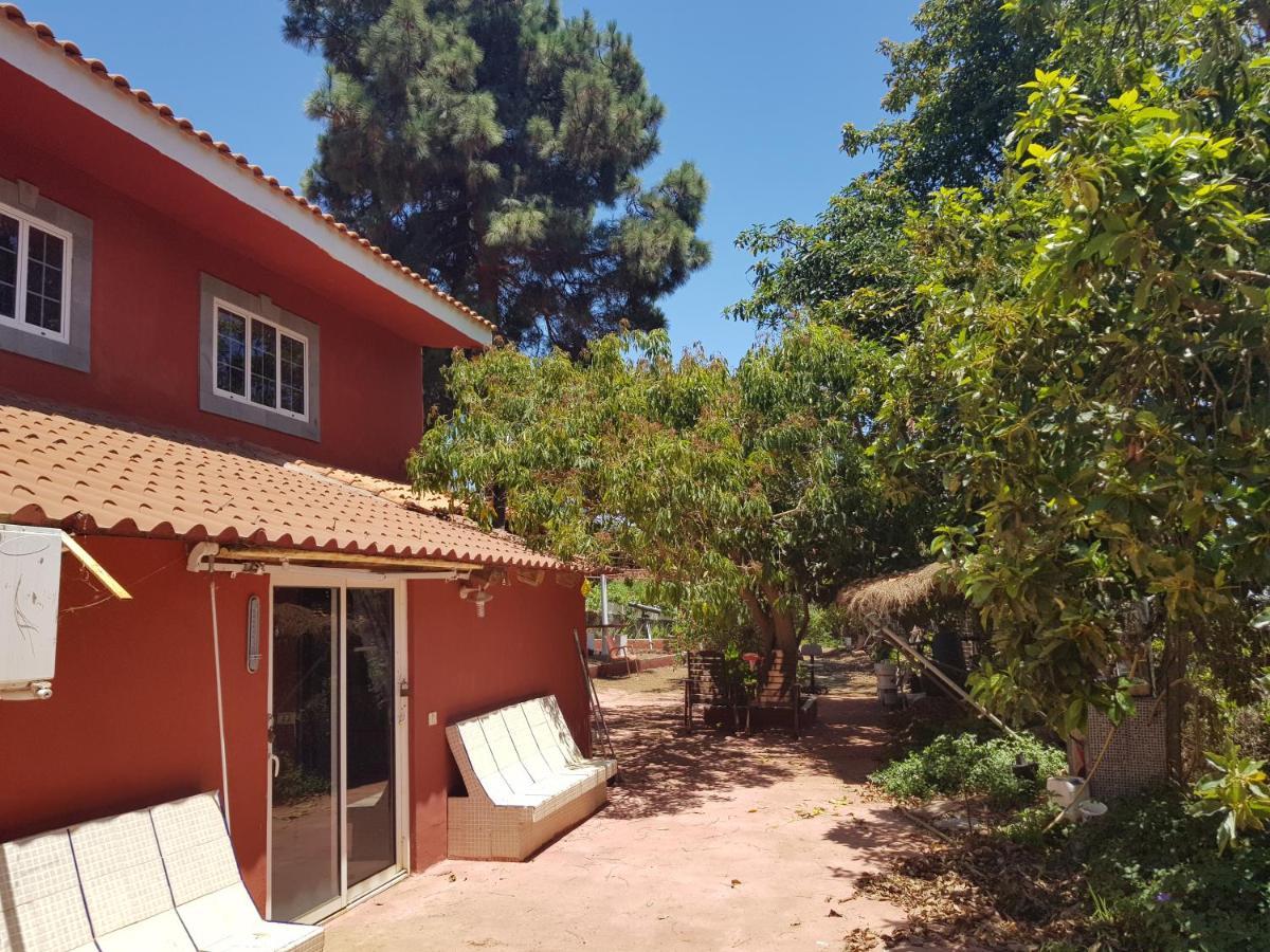 Finca Rural Torres Casas 1 Y 4 Bed & Breakfast Веґа-де-Сан-Матео Екстер'єр фото