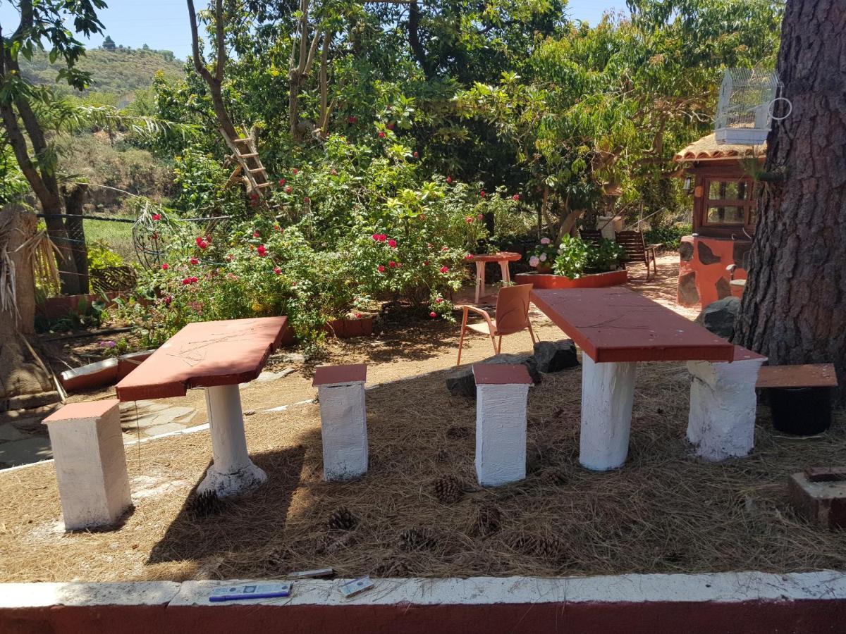 Finca Rural Torres Casas 1 Y 4 Bed & Breakfast Веґа-де-Сан-Матео Екстер'єр фото