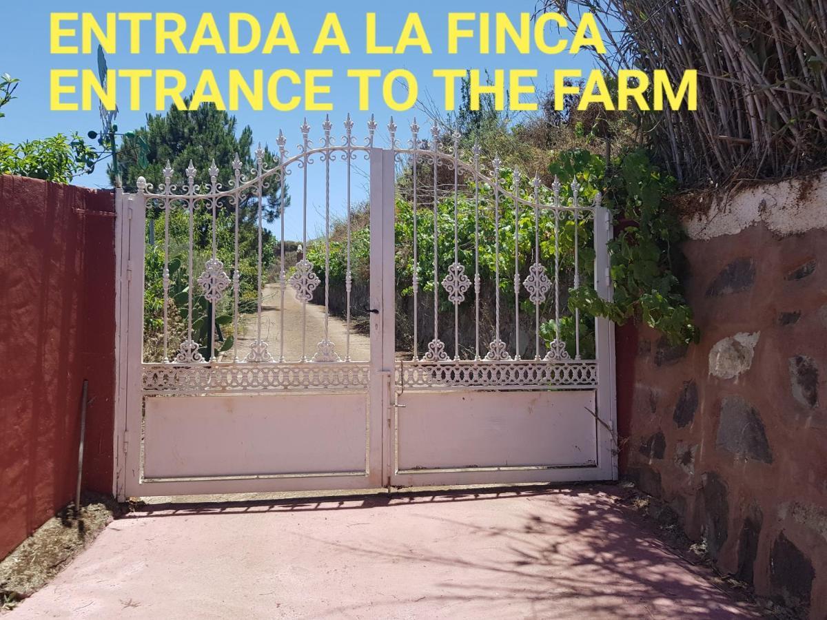 Finca Rural Torres Casas 1 Y 4 Bed & Breakfast Веґа-де-Сан-Матео Екстер'єр фото
