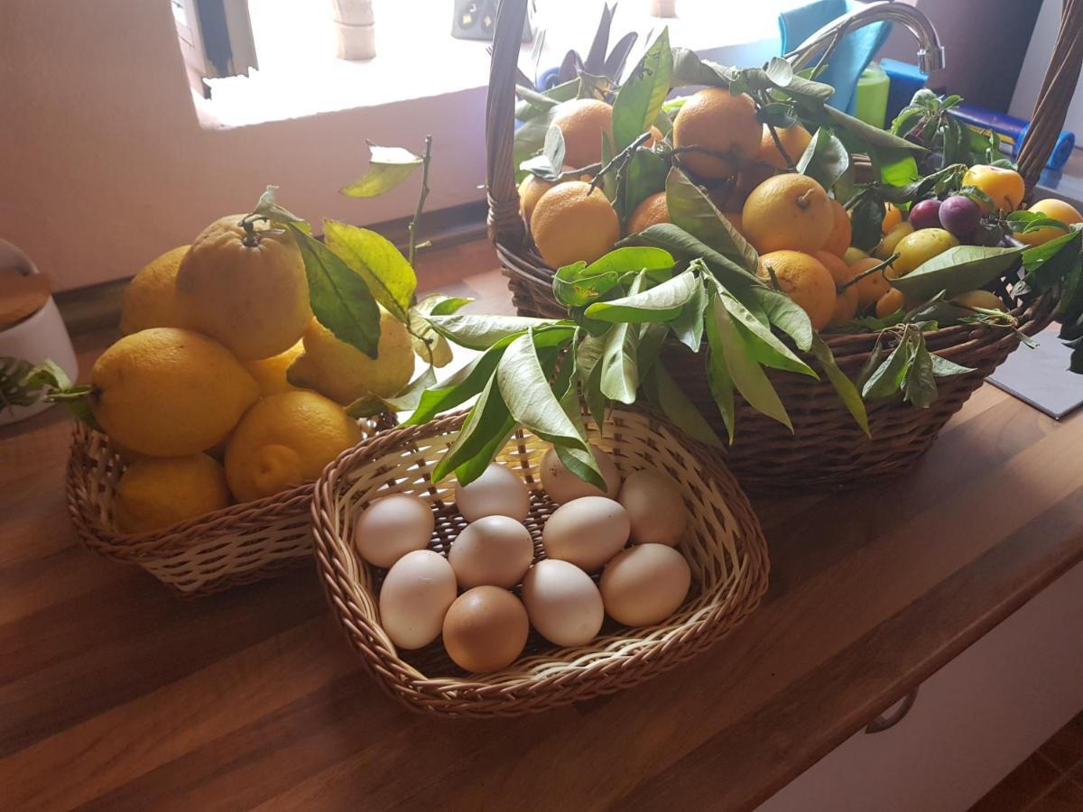 Finca Rural Torres Casas 1 Y 4 Bed & Breakfast Веґа-де-Сан-Матео Екстер'єр фото