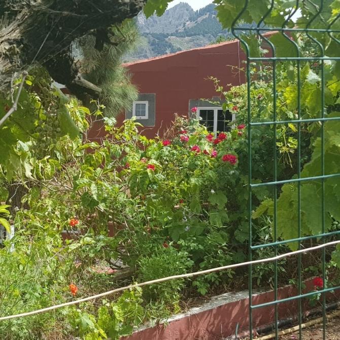 Finca Rural Torres Casas 1 Y 4 Bed & Breakfast Веґа-де-Сан-Матео Екстер'єр фото