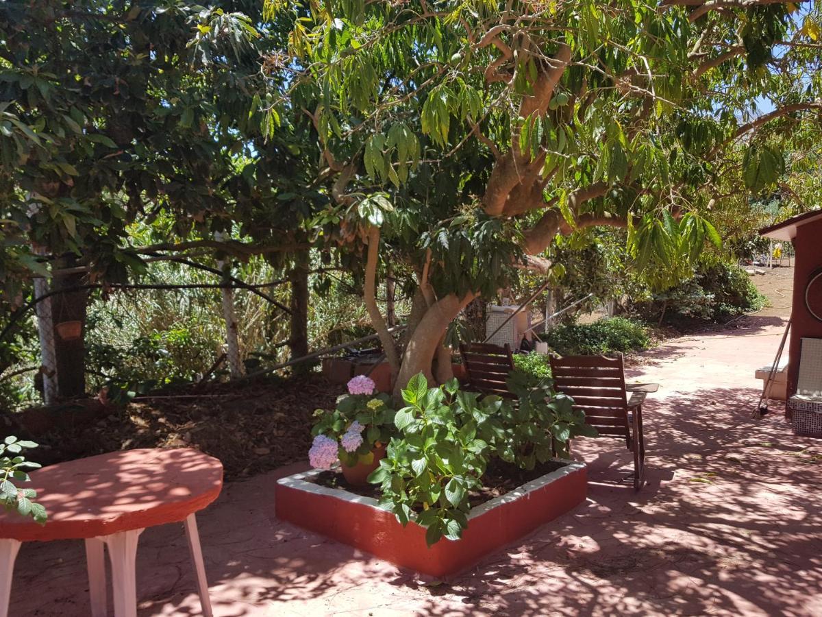 Finca Rural Torres Casas 1 Y 4 Bed & Breakfast Веґа-де-Сан-Матео Номер фото