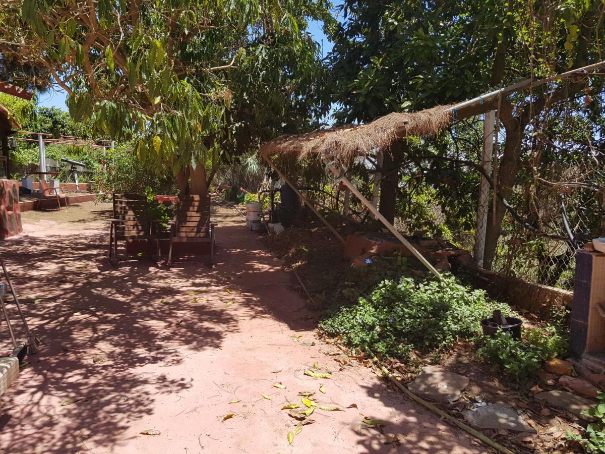 Finca Rural Torres Casas 1 Y 4 Bed & Breakfast Веґа-де-Сан-Матео Номер фото